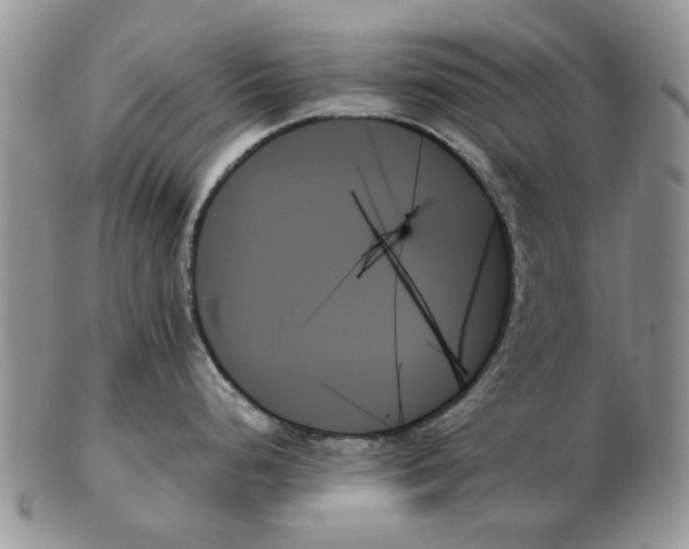 X0000102261248200808221408