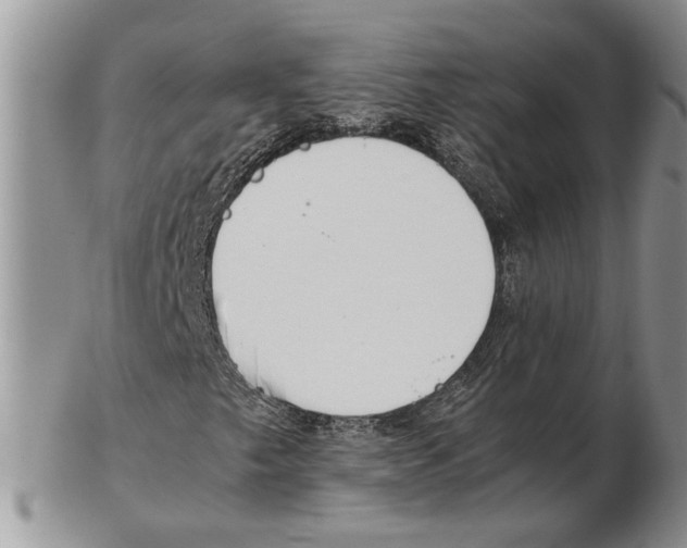 X0000102261249200808221407