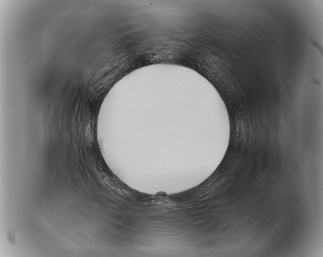 X0000102261250200808221407