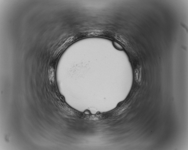 X0000102261251200808221407