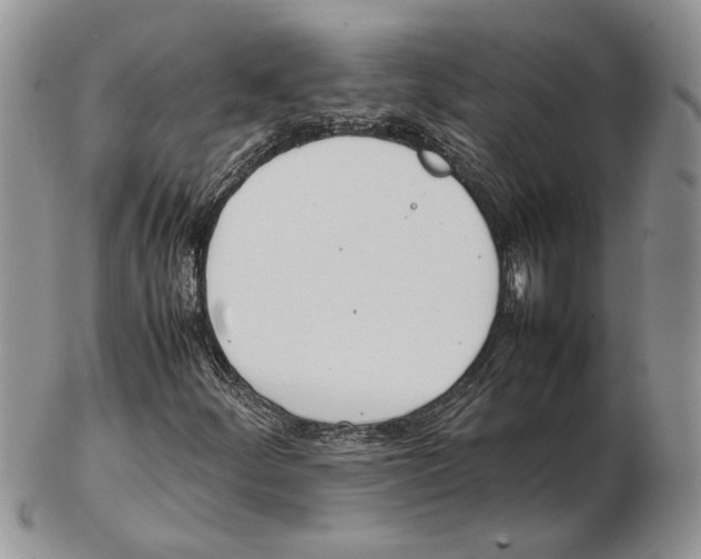 X0000102261252200808221407
