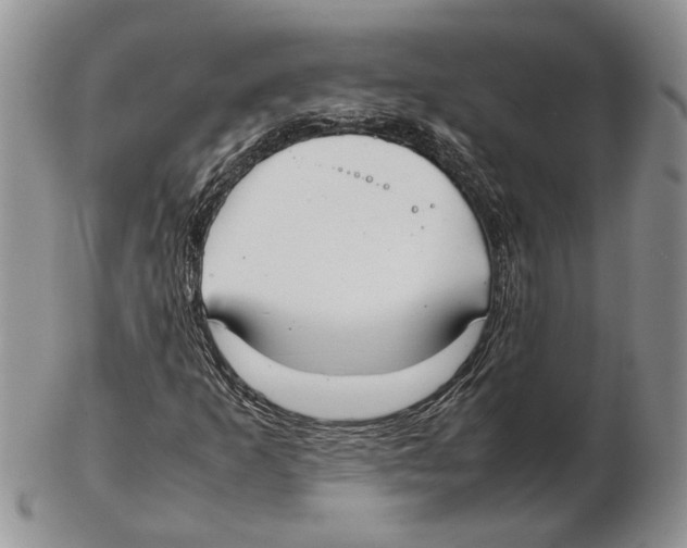 X0000102261253200808221407
