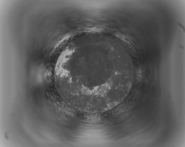 X0000102261254200808221407