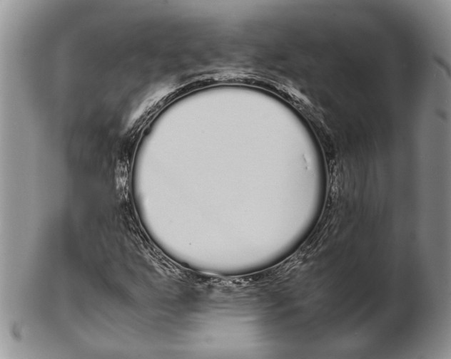 X0000102261255200808221407