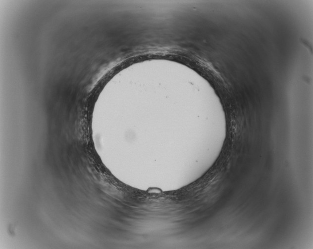 X0000102261256200808221407