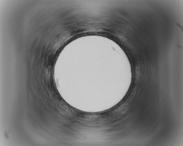 X0000102261257200808221407