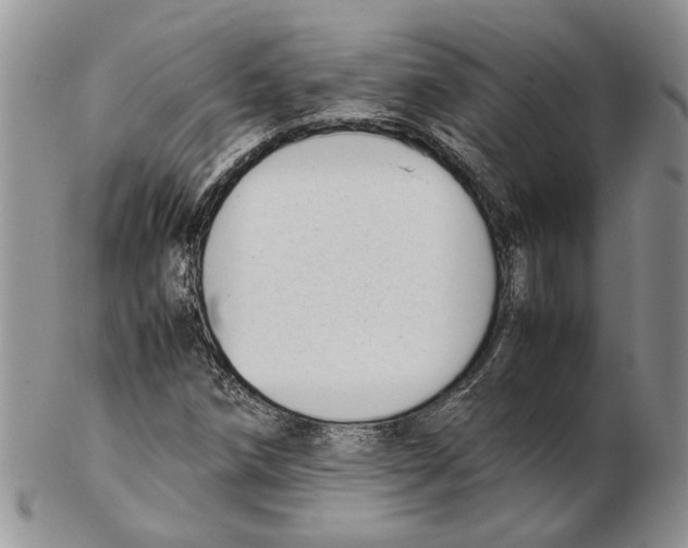 X0000102261258200808221407