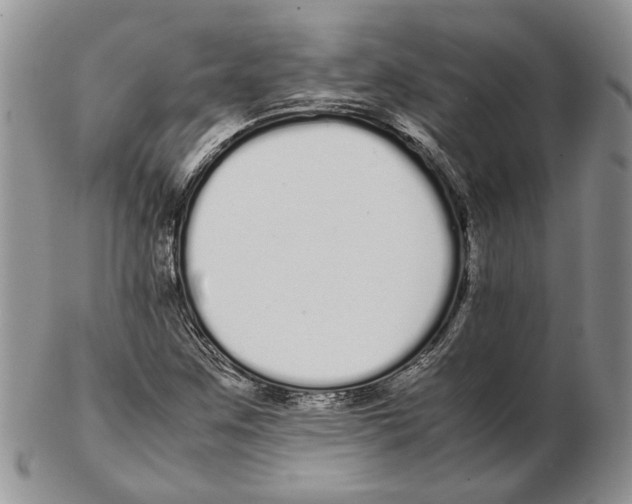 X0000102261259200808221407