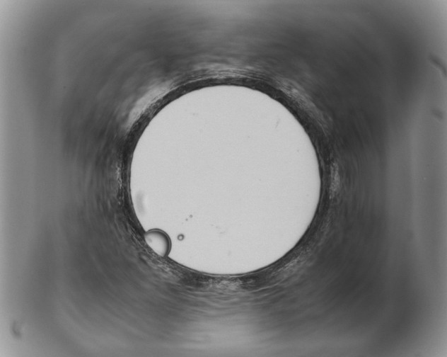 X0000102261261200808221407