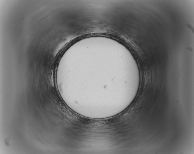 X0000102261262200808221407