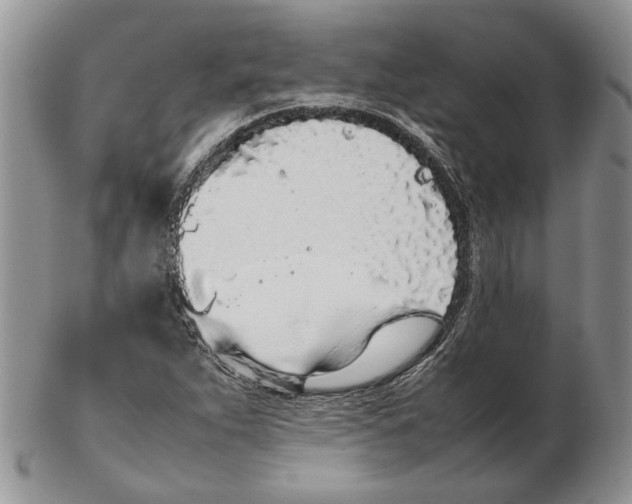 X0000102261263200808221407
