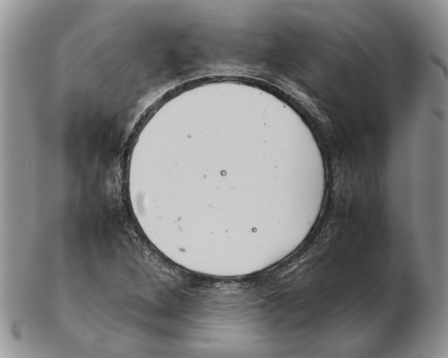 X0000102261264200808221407