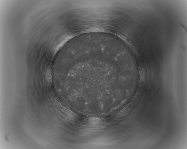 X0000102261266200808221407