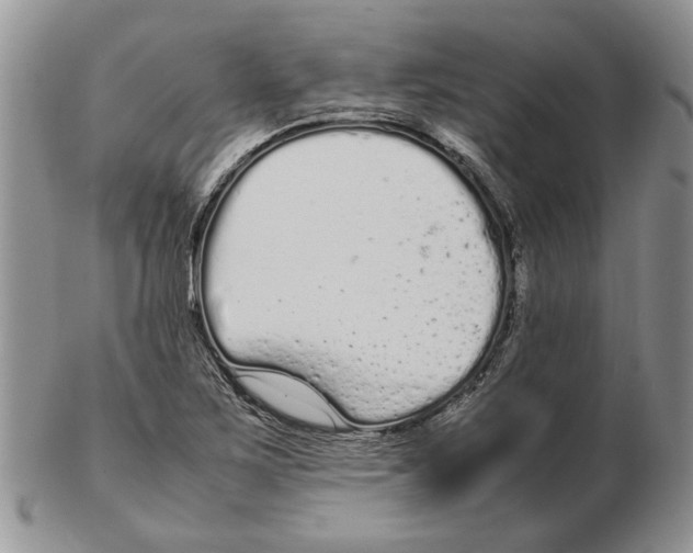X0000102261267200808221407