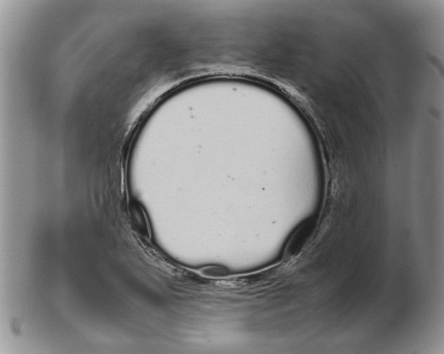 X0000102261271200808221407