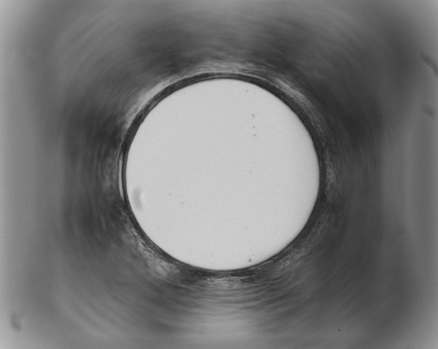 X0000102261272200808221407