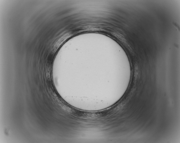 X0000102261273200808221407