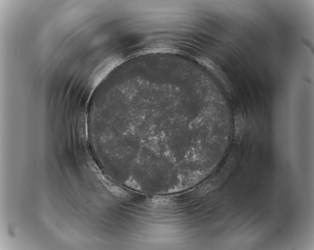 X0000102261274200808221407