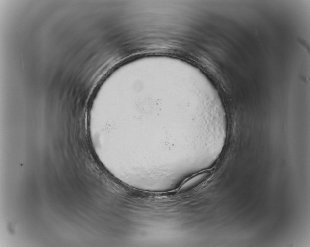 X0000102261275200808221407