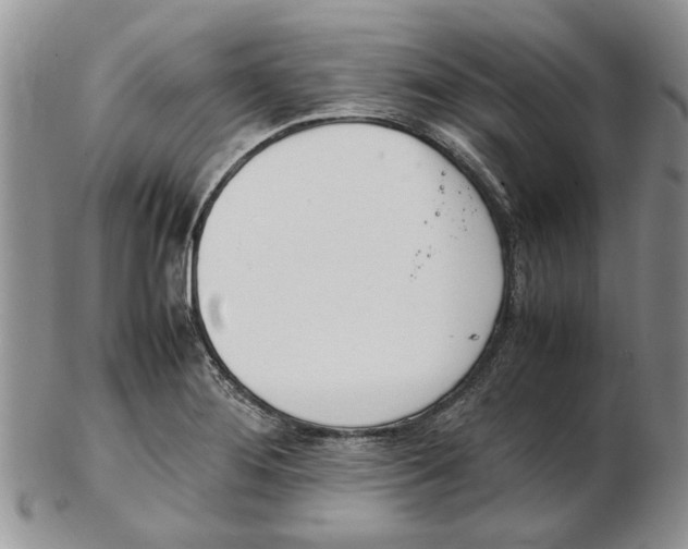 X0000102261276200808221407
