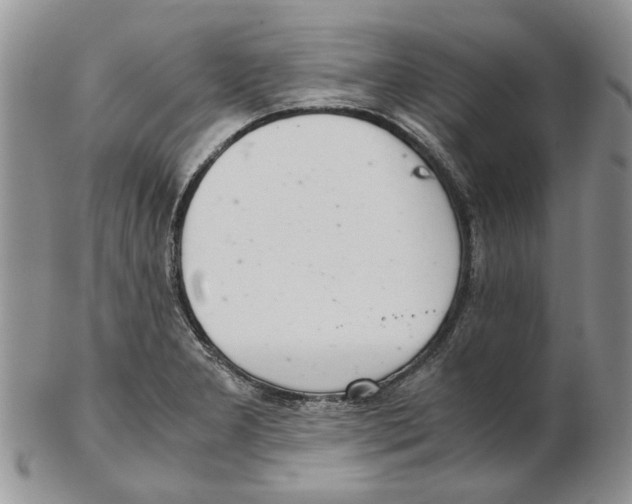 X0000102261277200808221407