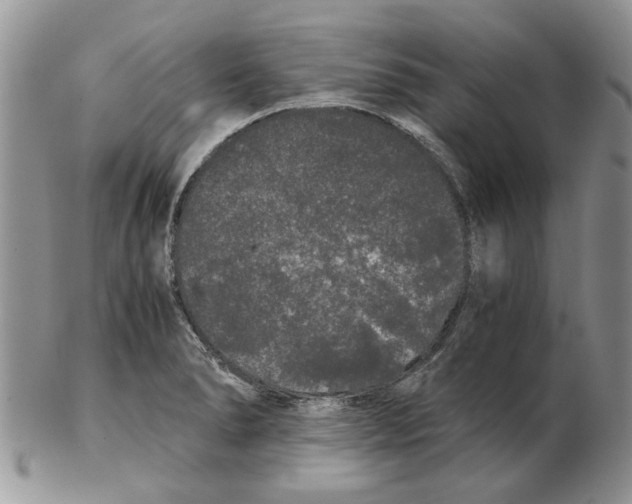 X0000102261278200808221407
