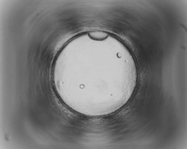 X0000102261279200808221407
