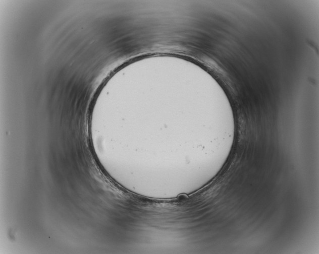 X0000102261280200808221407