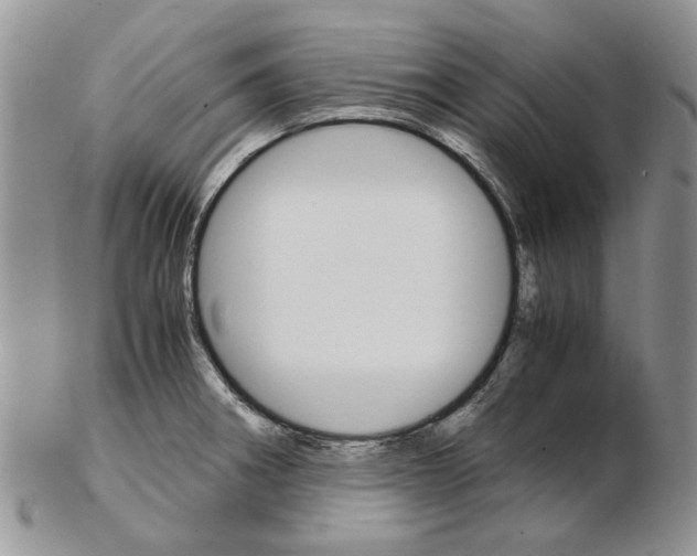 X0000102261282200808221407