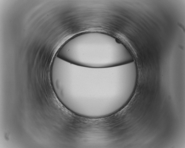 X0000102261284200808221407