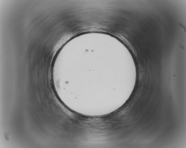 X0000102261285200808221407