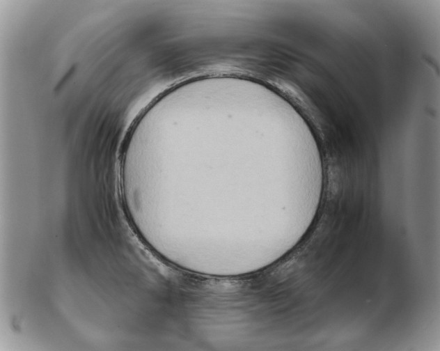 X0000102261286200808221407