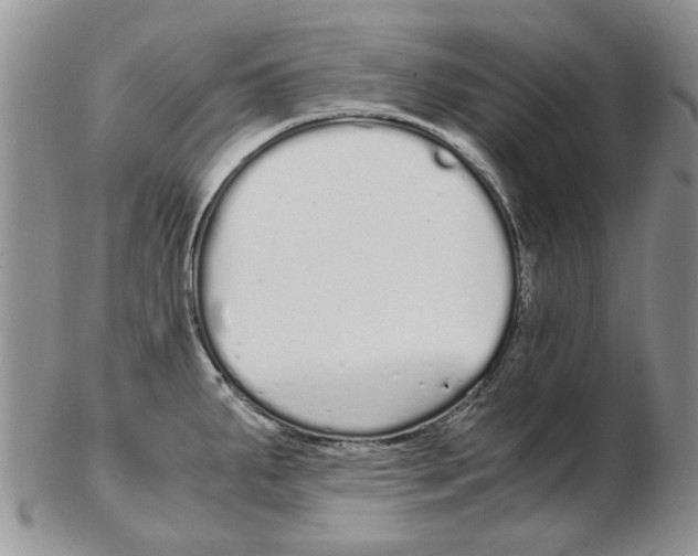 X0000102261287200808221407