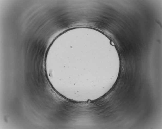 X0000102261288200808221407