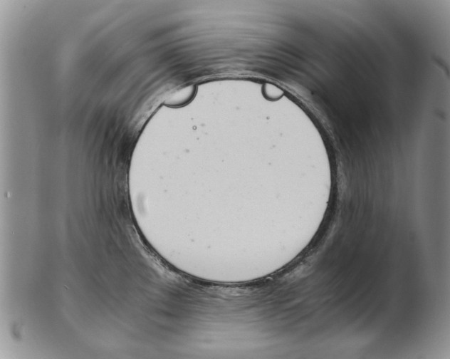 X0000102261289200808221407