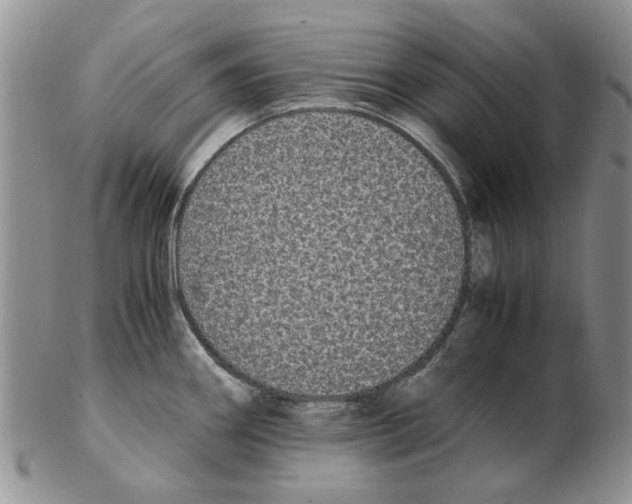 X0000102261290200808221407