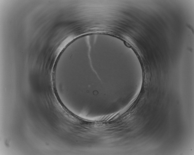 X0000102261291200808221407