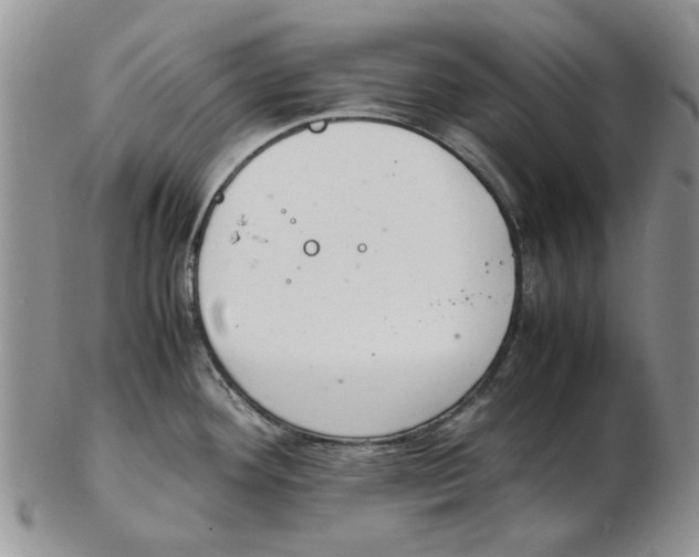 X0000102261292200808221407