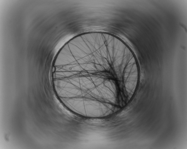 X0000102261293200808221407
