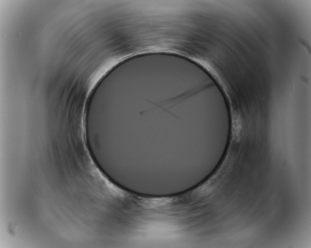 X0000102261294200808221407