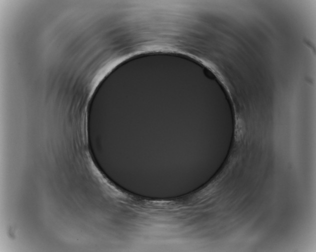 X0000102261295200808221407