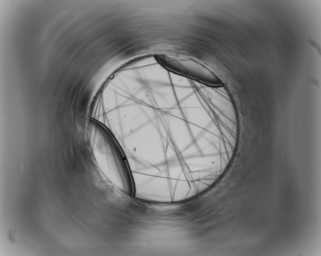 X0000102261296200808221407