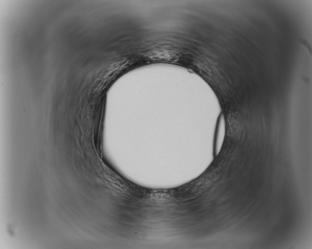 X0000102261297200808221406