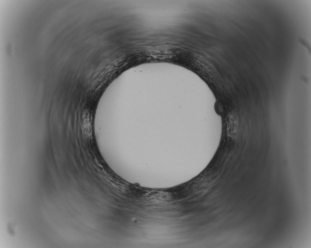 X0000102261298200808221406