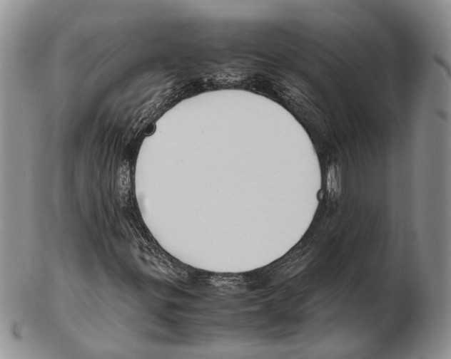 X0000102261299200808221406