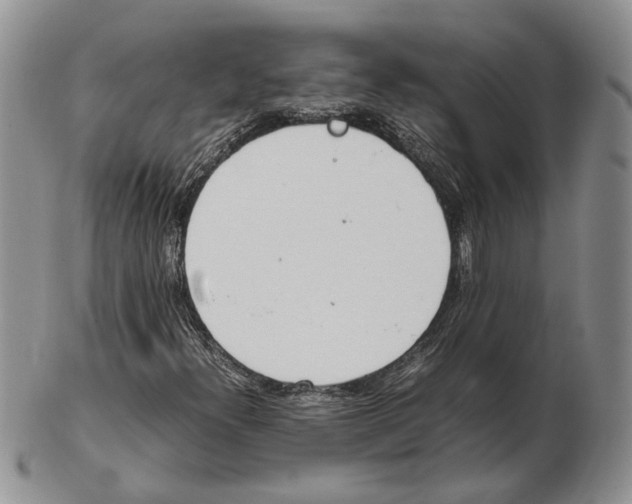 X0000102261300200808221406