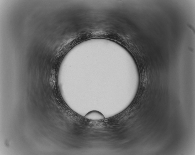 X0000102261301200808221406