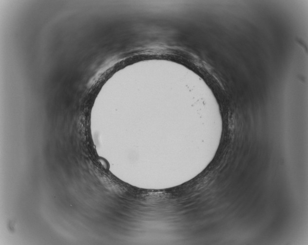 X0000102261304200808221406