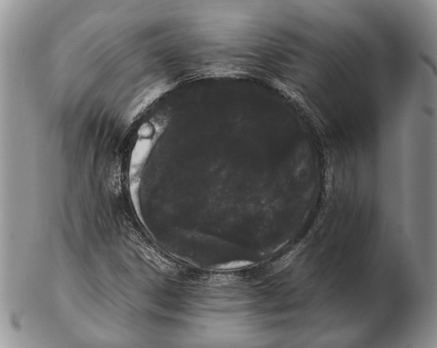 X0000102261306200808221406