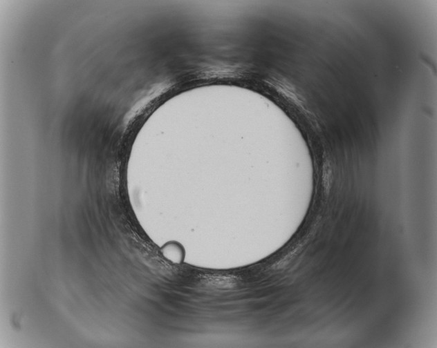 X0000102261309200808221406